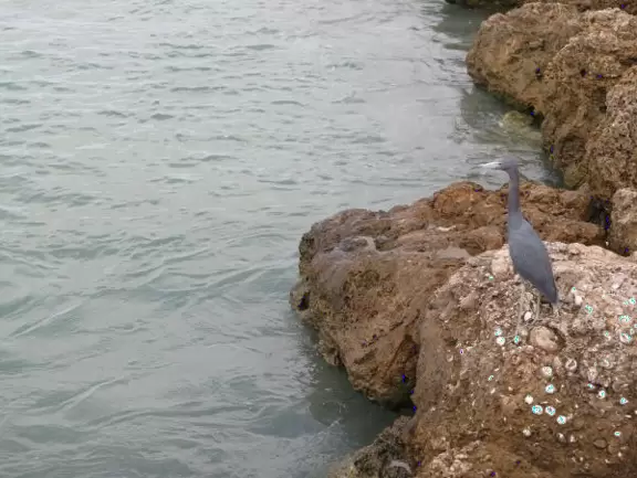 Beach where fishermen hang out on the jetty and surfers come to ride the waves at Jupiter Inlet.