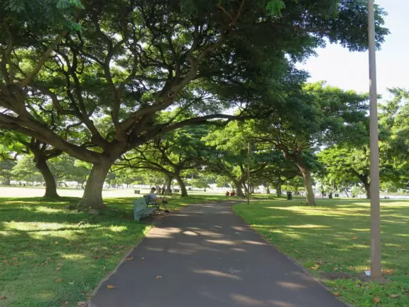 Grassy spot with coconut trees, manmade cove, and great views of Diamond Head.