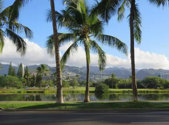 Beautiful mountains views. You can walk for miles along the Ala Wai canal!