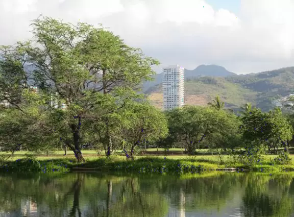 Beautiful mountains views. You can walk for miles along the Ala Wai canal!