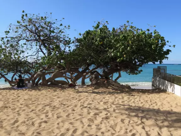 A partially paved path directly on the water that takes you in front of the grand hotels.