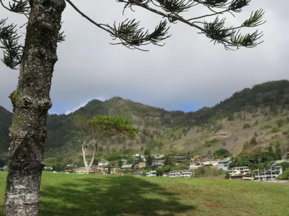 There's an enchanting feeling in the valleys of Oahu, where the green mountains loom above you- Hahaione Park at dusk feels this way!