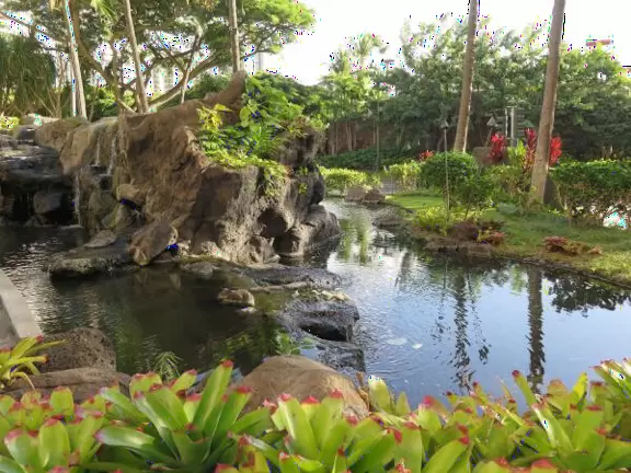 A beautiful, spacious, open part of Waikiki Beach, and tons for kids to do!