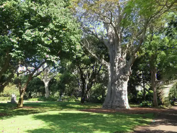 A lush paradise in the middle of downtown Honolulu!