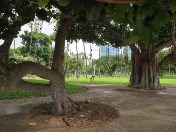 Whitest white sand, clear sparkling water, spacious green lawns with large shade trees, tropical flowers, a wide half-mile boardwalk, and a huge park full of tropical plants.