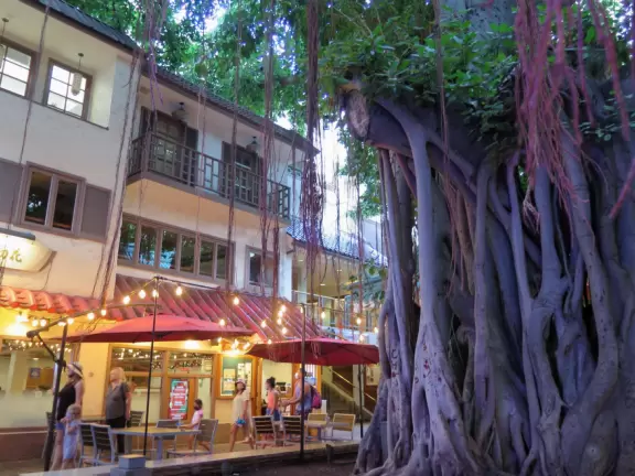 A beautiful, spacious, open part of Waikiki Beach, and tons for kids to do!