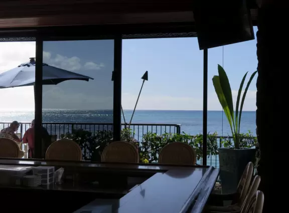 Hau Tree Beach, or Kaimana Beach, offers one of the best swims in Waikiki- clear calm water with a soft sandy bottom, and tons of shade!