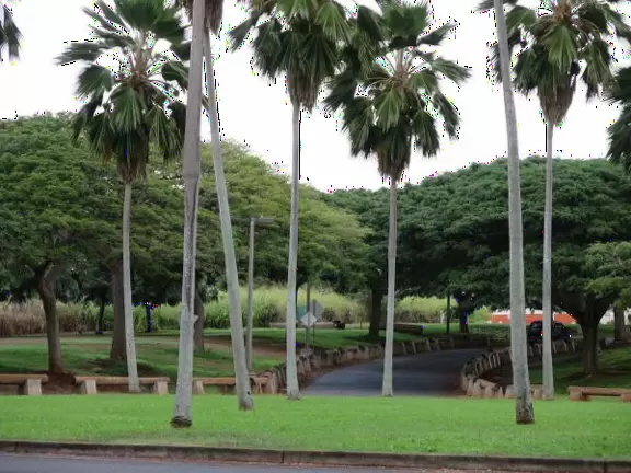 Lively park with long winding walking paths, tennis courts, sports fields, playgrounds, archery range, and aquatic center.