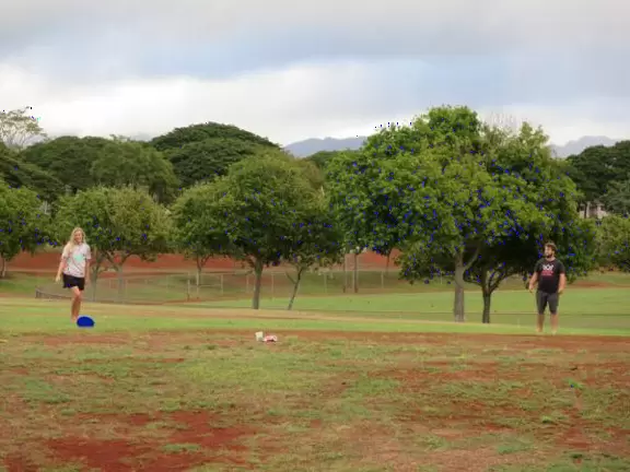 Lively park with long winding walking paths, tennis courts, sports fields, playgrounds, archery range, and aquatic center.