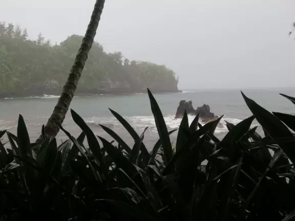 Lush botanical garden with ocean views, waterfall, tropical flowers, huge trees, and paved path.