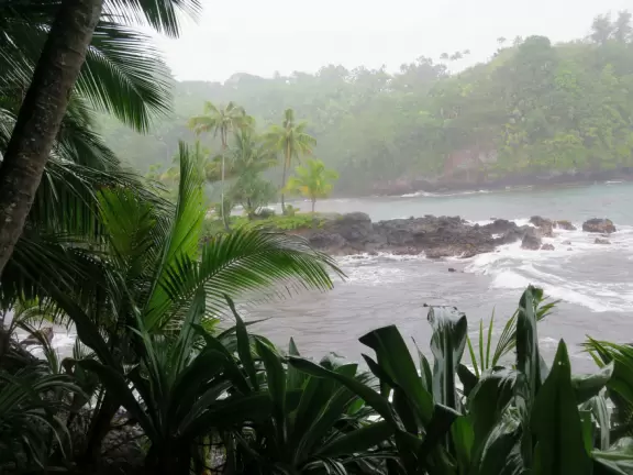 Lush botanical garden with ocean views, waterfall, tropical flowers, huge trees, and paved path.