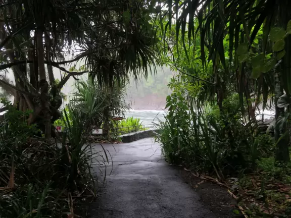 Lush botanical garden with ocean views, waterfall, tropical flowers, huge trees, and paved path.