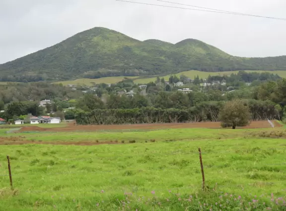 Drive up Hamakua Coast from Hilo