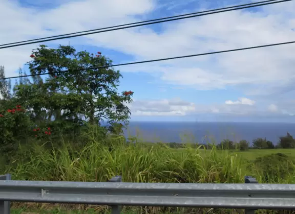 Stunning scenery, with many great stops, on this&nbsp;one hour&nbsp;drive.