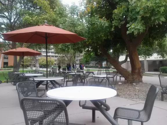 A walk past grassy knolls, a shimmering lagoon, and picturesque bluffs above the ocean, all in the vibrant atmosphere of campus!