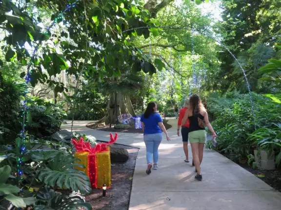 Tropical botanical garden with huge magnificent trees and animal sanctuary.