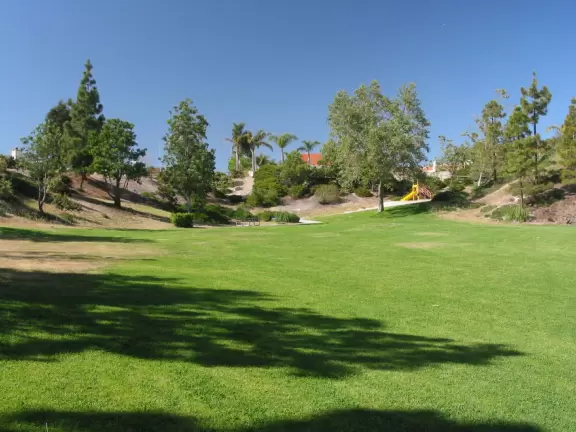 Hillside park with sloped lawn going way down, marvelous pampas grass, and a small playground.