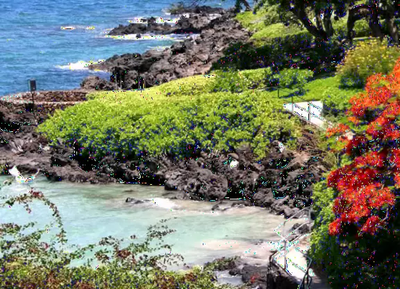 Wonderful place to swim by day, and to watch manta rays by night!