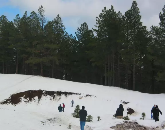 A fun place to play in the snow!