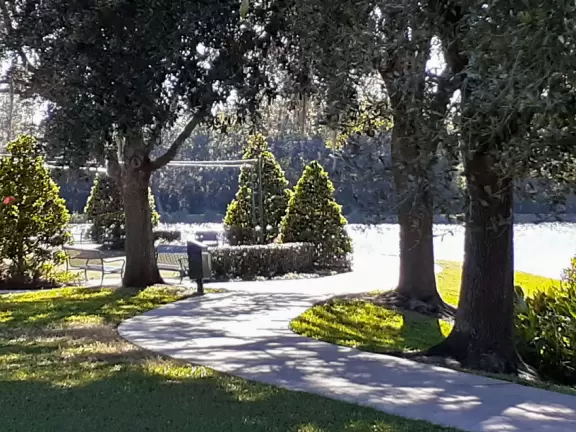 Fantastic shady walk past three lakes, mansions, wildlife, and Celebration Town Center.
