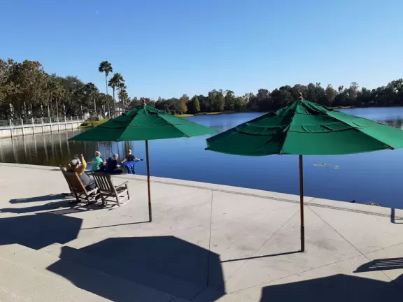 Fantastic shady walk past three lakes, mansions, wildlife, and Celebration Town Center.