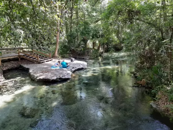Incredible natural lazy river and swimming pool- crystal clear!