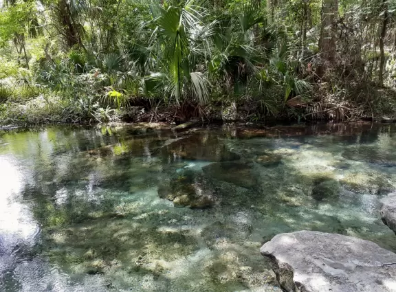 Incredible natural lazy river and swimming pool- crystal clear!