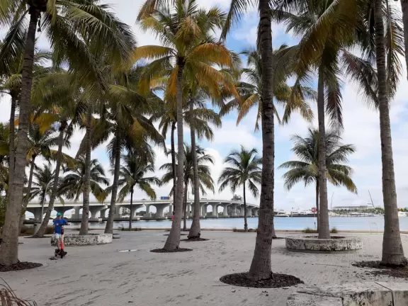 Art museum on the water with fantastic public spaces for all to enjoy, and a good gift shop.
