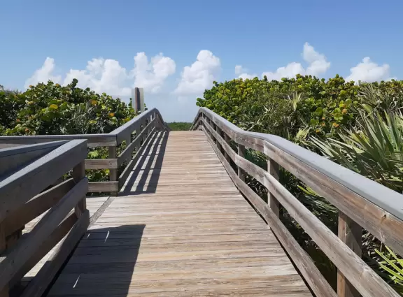 Beautiful beach that looks like South Florida beaches, surrounded by pristine nature.