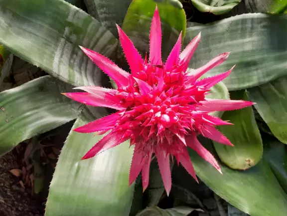 A cute main strip with restaurants, a bike path, and a splash pad.