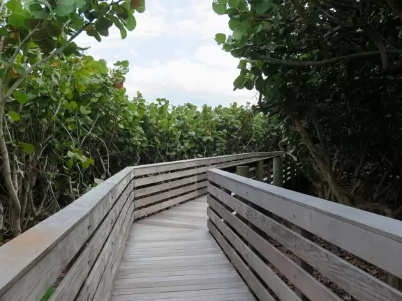 Exposed beach with gorgeous sea grape forest, sand volleyball courts, and basketball courts- a happening scene! Plus a concession snack area with a huge grass shack for shade.