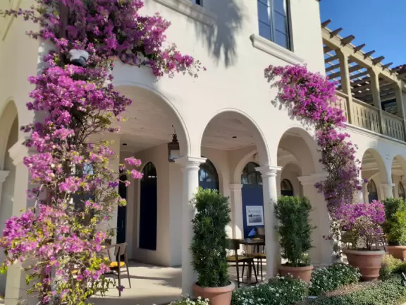 Beautiful area with Spanish alleys, and interesting shops and cafes.