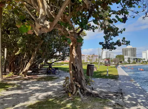 Pretty park, rock and sand bag jetty, and slightly grody beach on the inlet.