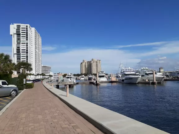 Wide walking path along the water with tropical flowers, piers, grand high rises, and palm trees- no shade though.