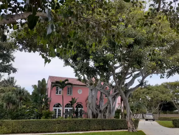 Lovely walk along palm-lined roads past historical homes from the 1920s.