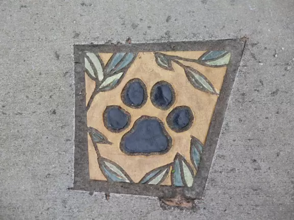 Large playground with sand floor and huge shade canopy, plus hike through a jungle paradise!