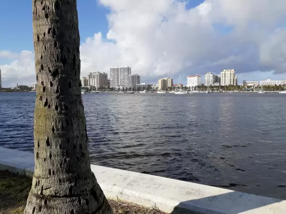 A cement bike and walking path along the intercoastal waterway in front of mansions and past glorious trees.