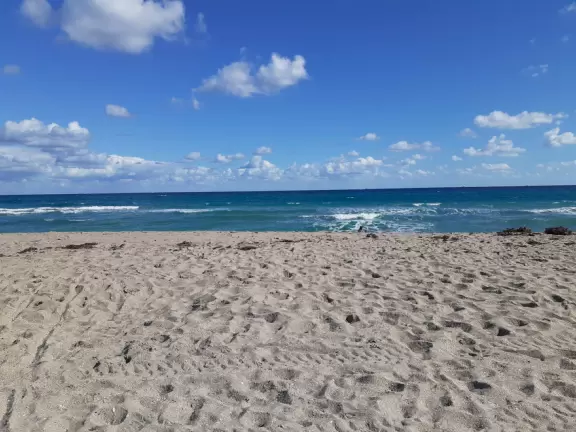 It's blissful to walk past hibiscus flowers, bougainvillea, coconut trees, tall hedges, and mansions, down to the sea.