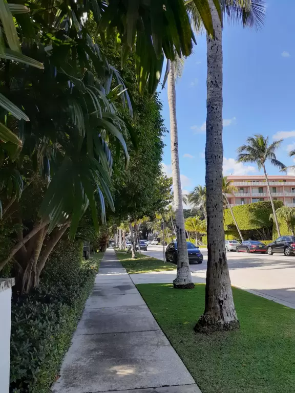 It's blissful to walk past hibiscus flowers, bougainvillea, coconut trees, tall hedges, and mansions, down to the sea.