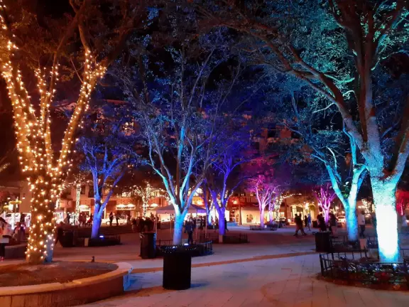 Wide walking path along the water with tropical flowers, piers, grand high rises, and palm trees- no shade though.