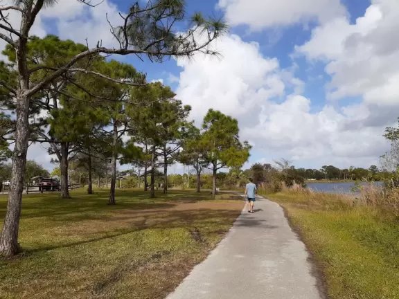 A pleasant place to walk in the forest or by the lake.