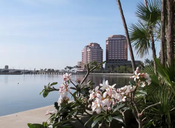Wide walking path along the water with tropical flowers, piers, grand high rises, and palm trees- no shade though.