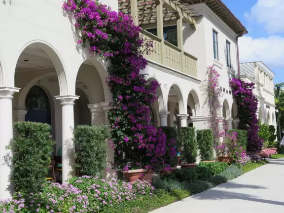 Beautiful area with Spanish alleys, and interesting shops and cafes.