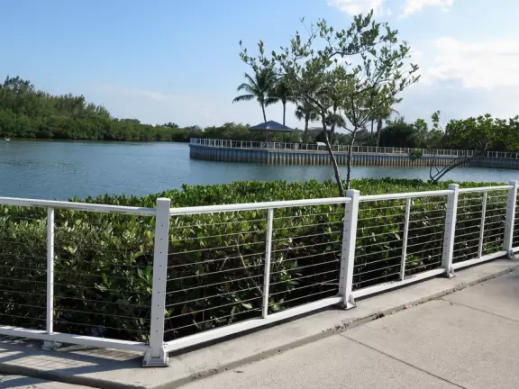 Beautiful clear water before high tide! Lots of wildlife. Views of Jupiter Lighthouse.