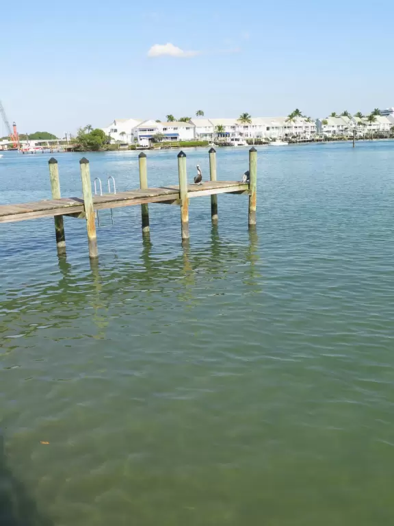 Beautiful clear water before high tide! Lots of wildlife. Views of Jupiter Lighthouse.