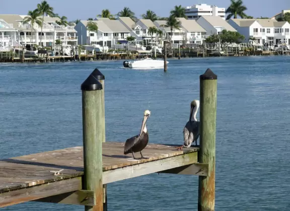 Beautiful clear water before high tide! Lots of wildlife. Views of Jupiter Lighthouse.