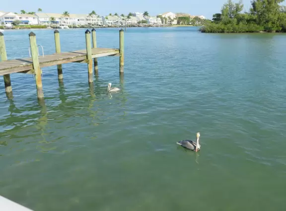 Beautiful clear water before high tide! Lots of wildlife. Views of Jupiter Lighthouse.