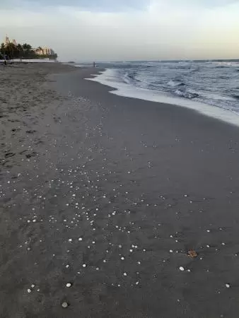 Blissful beach at the end of Worth Avenue, a blissful street! Long pedestrian walkway bordered by wave wall.