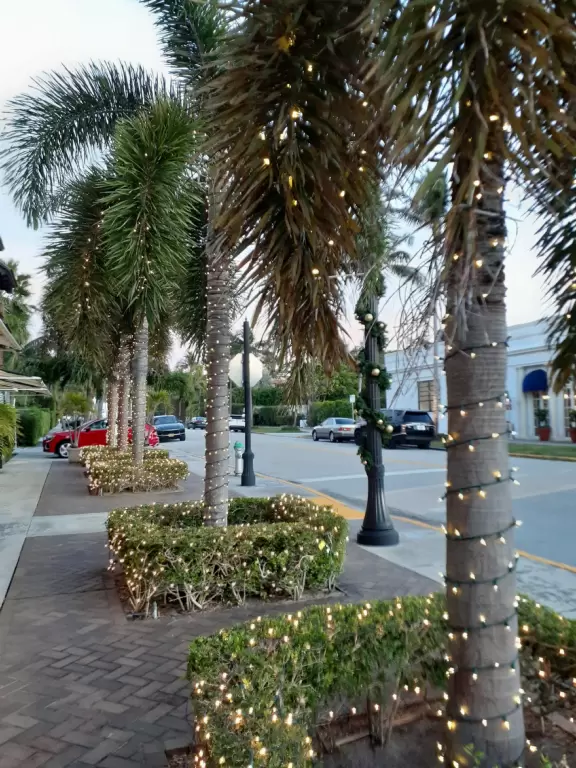 It's blissful to walk past hibiscus flowers, bougainvillea, coconut trees, tall hedges, and mansions, down to the sea.