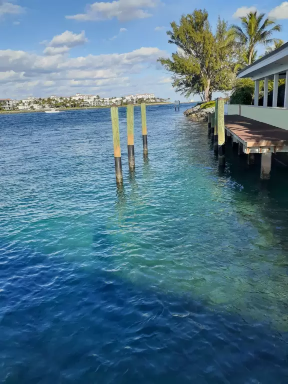 Crystal clear water and views of Peanut Island and the Palm Beach Inlet.